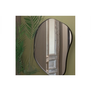 Romee Organische Spiegel Metaal Zwart 100x70cm